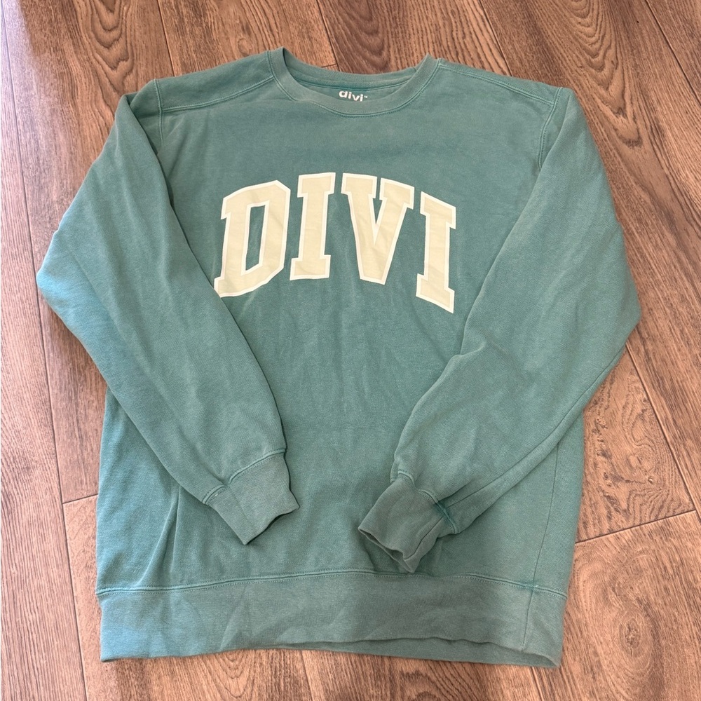 Dani Austin DIVI hair care sweatshirt! 
Size Small